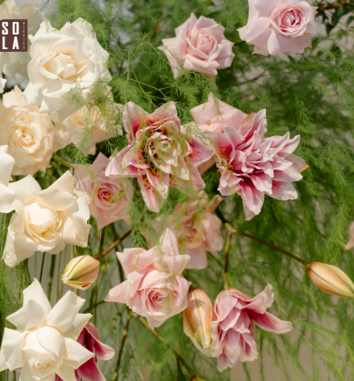 Trang Trí Tiệc Cưới Trung Tâm Sài Gòn : Dịch Vụ Đẳng Cấp | Sola Wedding 