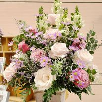 Tổ Chức Tiệc Cưới Sola Wedding
