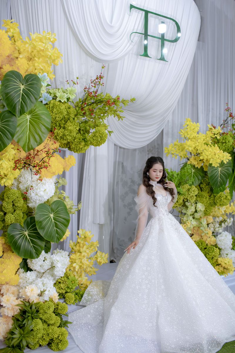 Trang trí background vải