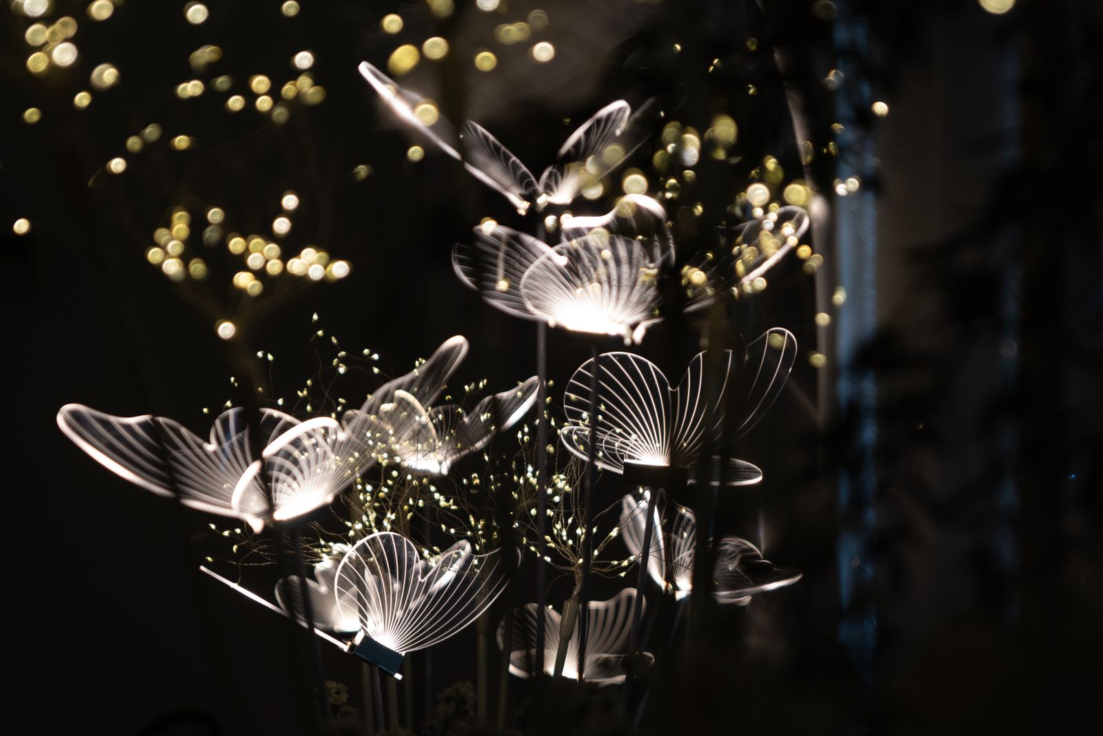 giá cho thuê đèn bướm chuyển động