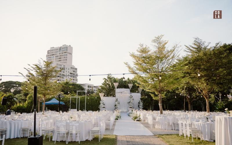 sợi cọ sinh học