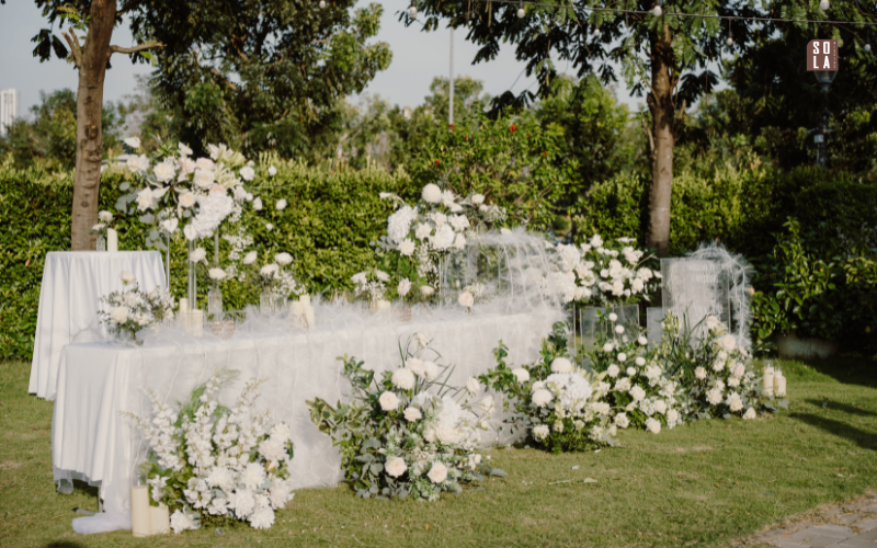 sợi cọ sinh học