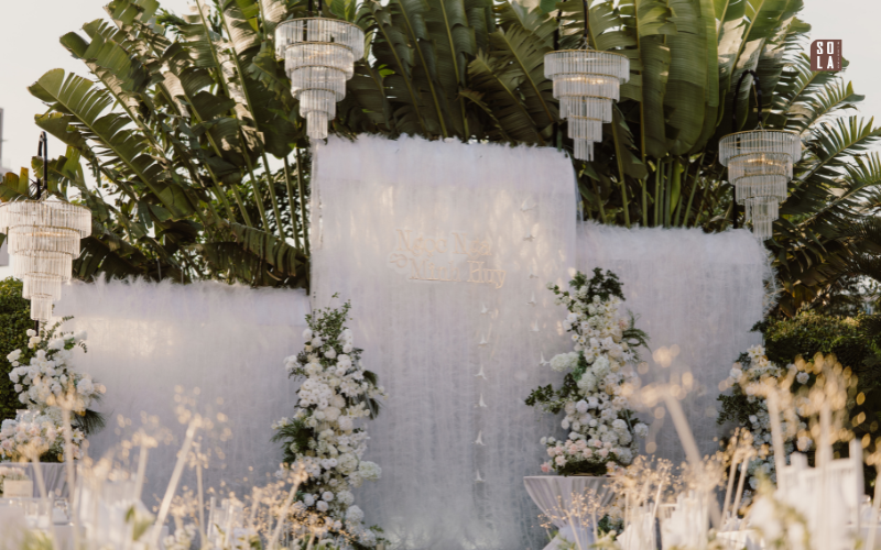 sợi cọ sinh học